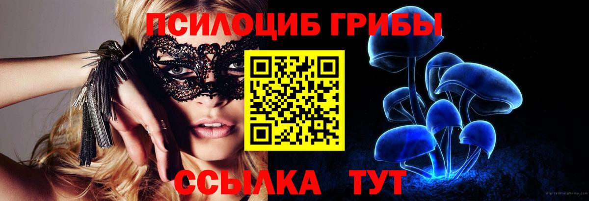 Стрежевой  Псилоцибиновые грибы Psilocybine cubensis  Вход с VPN 